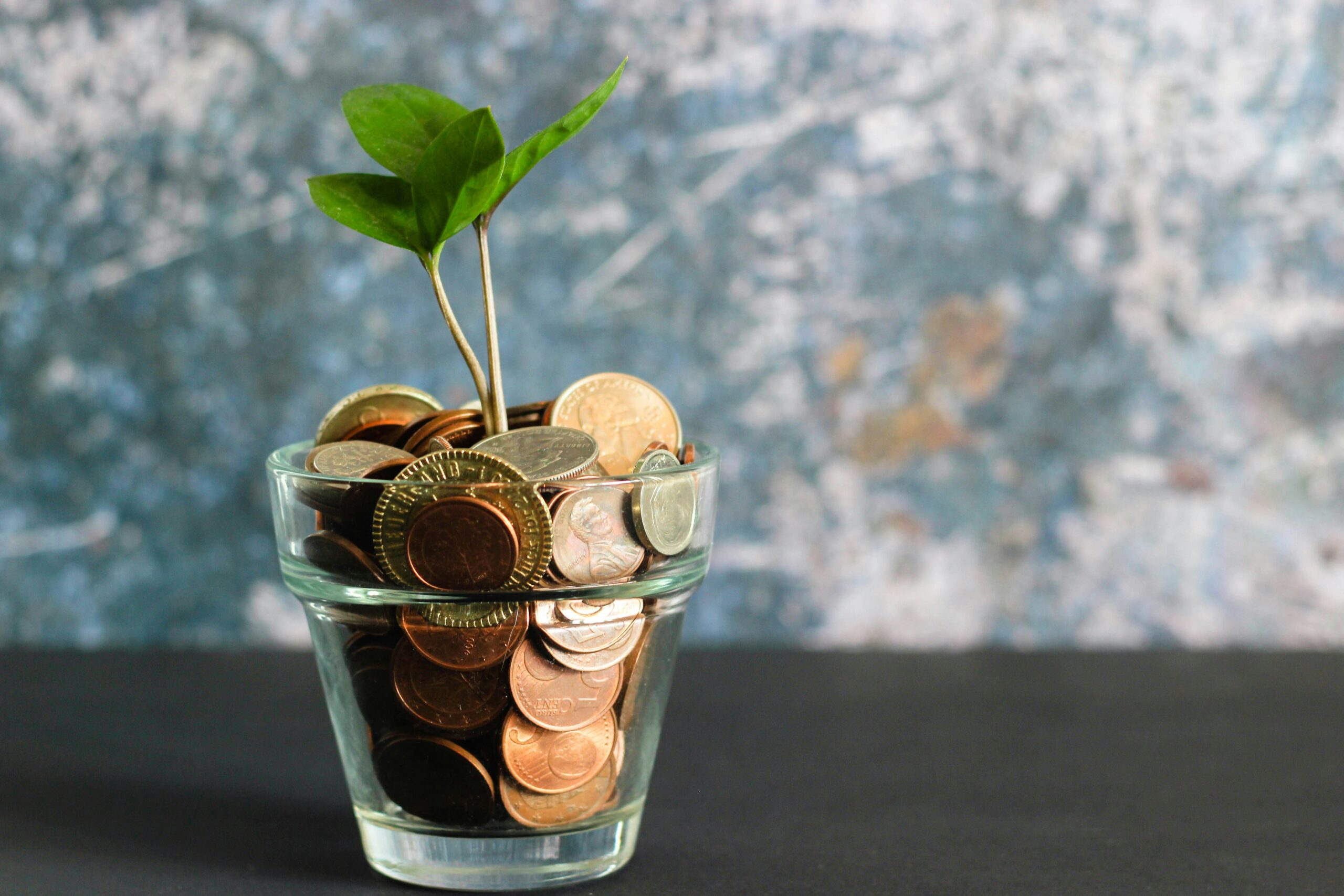 money in cup